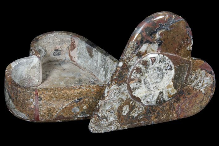 Fossil Goniatite Box (Heart) - Stoneware #123542